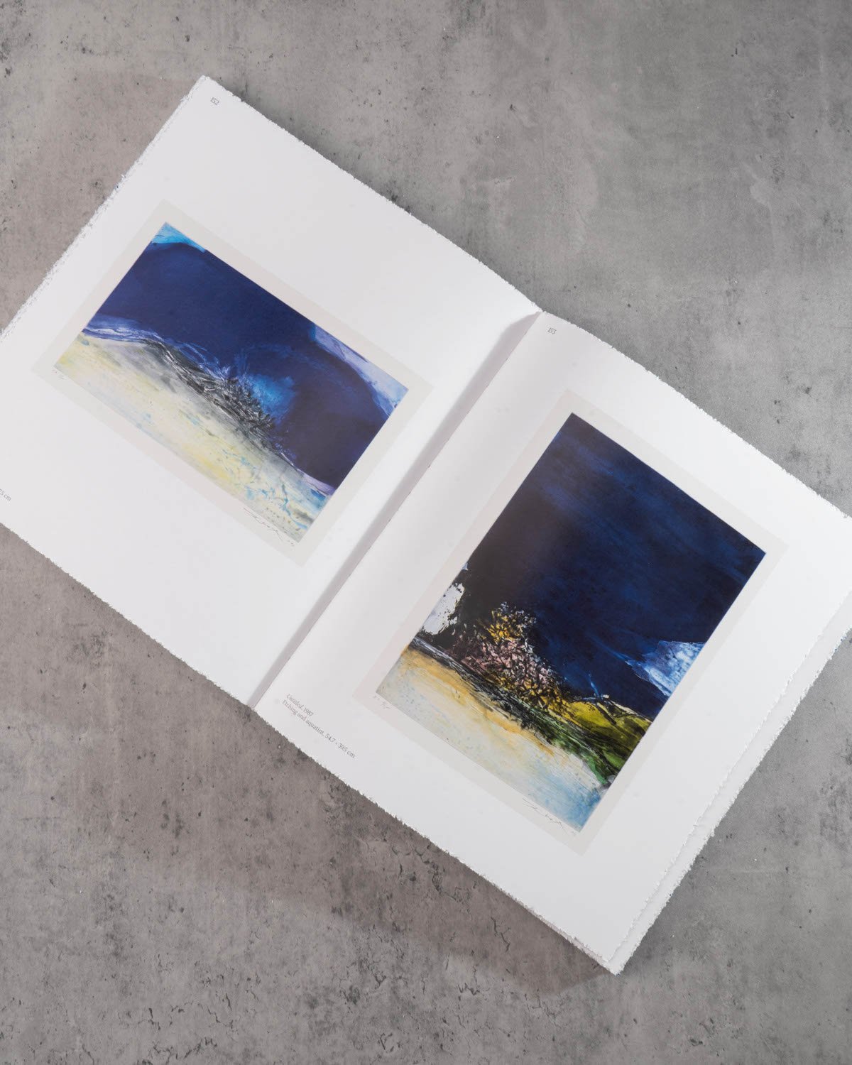 Zao Wou-Ki: Master Printmaker, , large