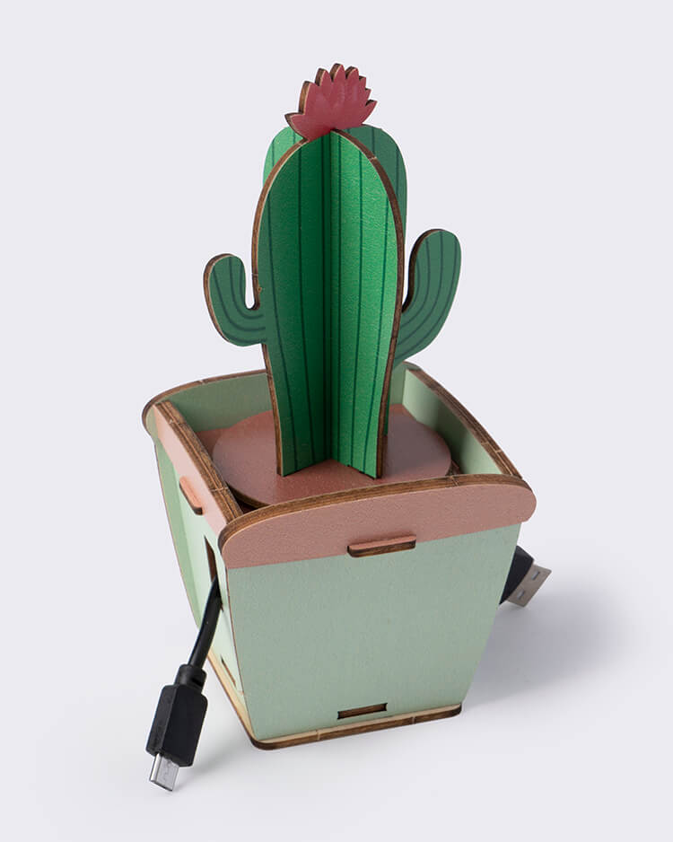 Team Green Jigzle Wooden Puzzle, Cactus Cable Box