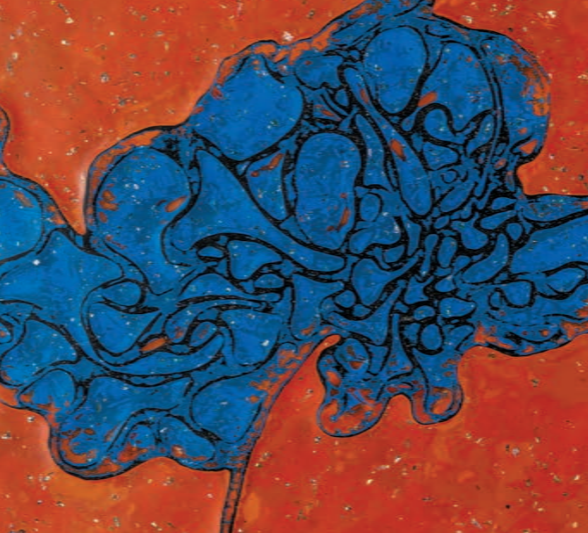 李昢明信片, 《泊渡 CV》, swatch