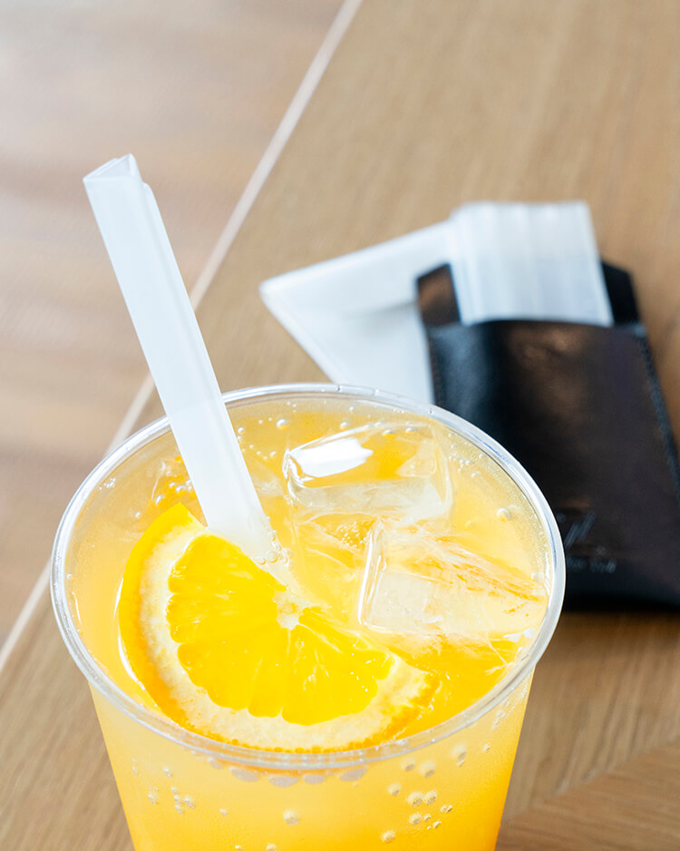 Ztraw Foldable Reusable Straw With Pouch