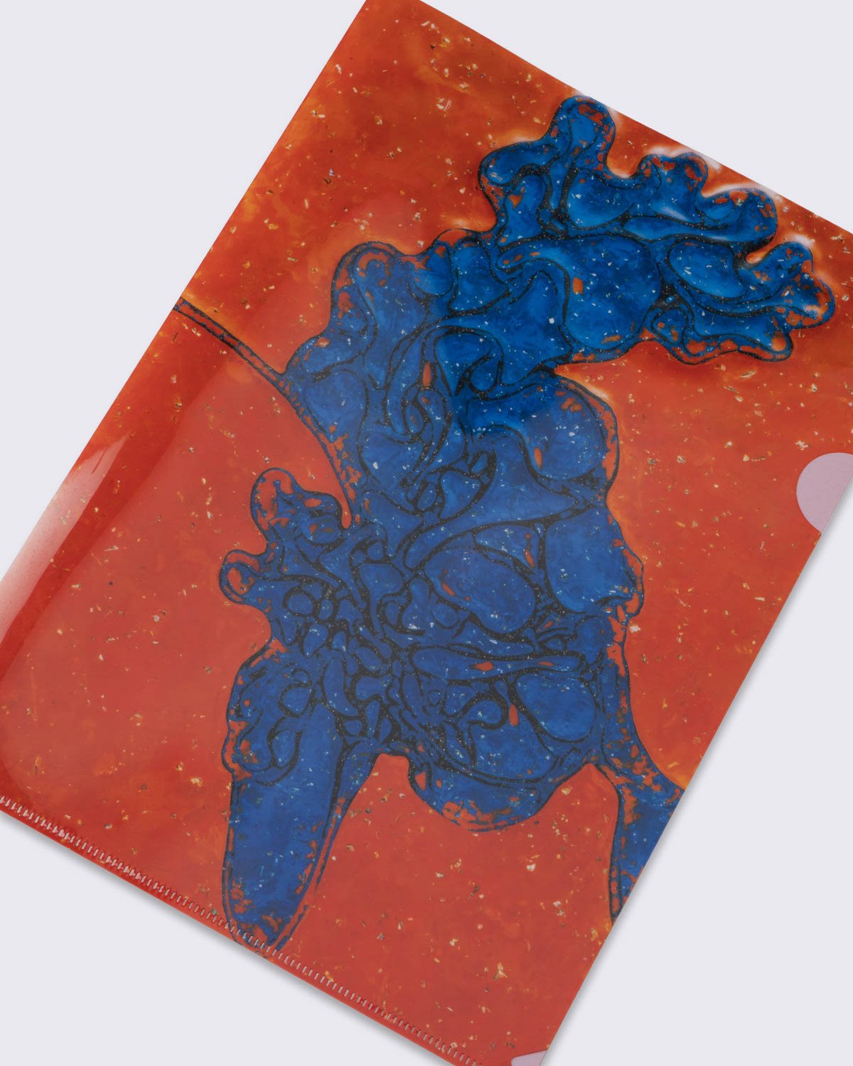 李昢文件夾, , large