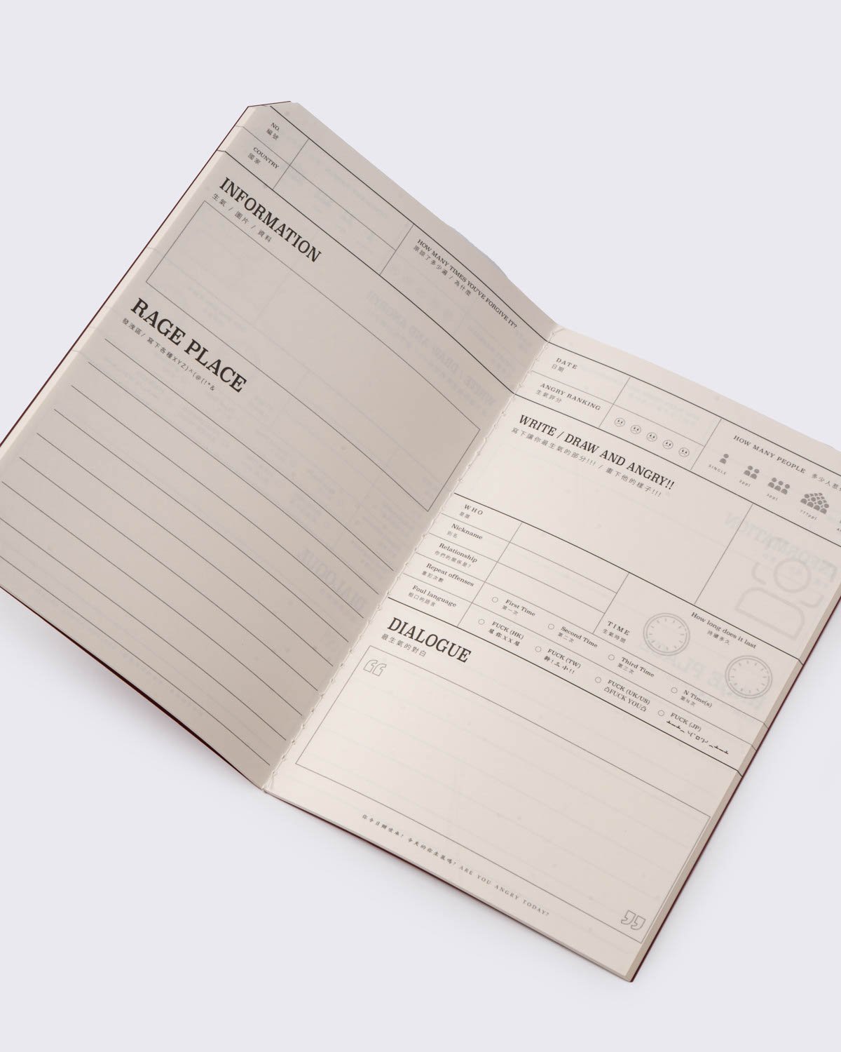 Someday Stationery 'A for Angry Angry Bird Record Book', , large