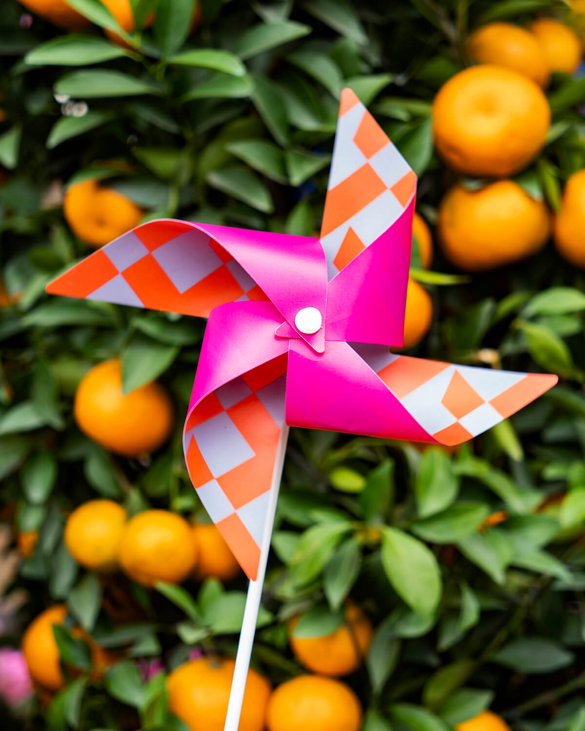 M+ Monogram Pinwheel