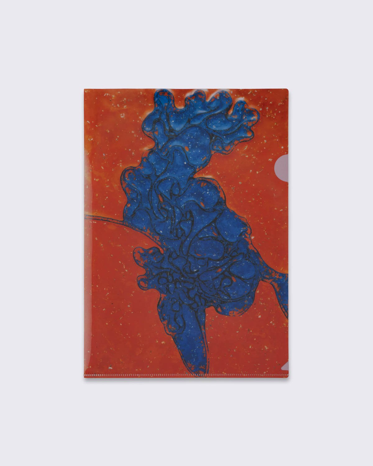 李昢文件夾, , large